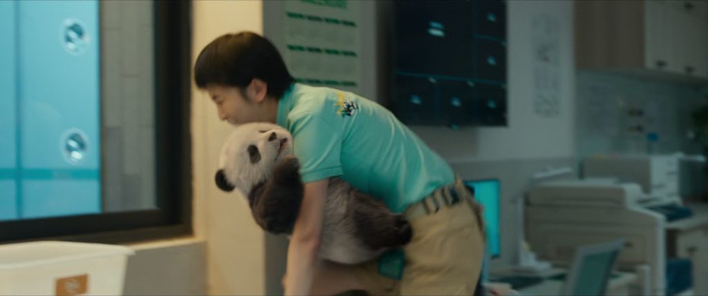 Panda Plan Movie Review – Download Movie Safely in 2025